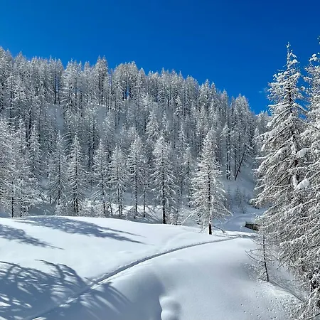 Διαμέρισμα Flora Alpina Experience - 
